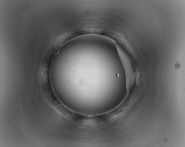X0000094430259200711081232