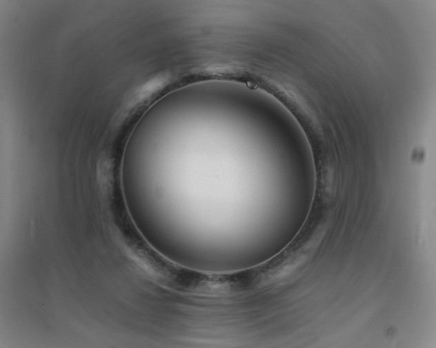 X0000094430260200711081232