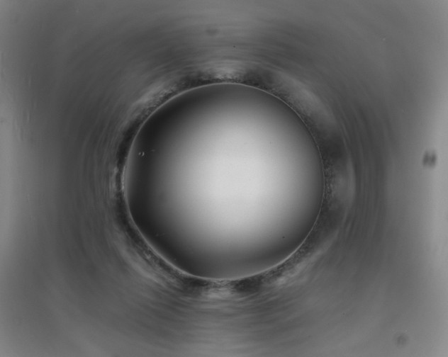 X0000094430262200711081232