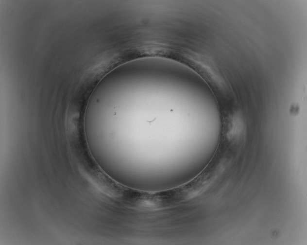 X0000094430263200711081233