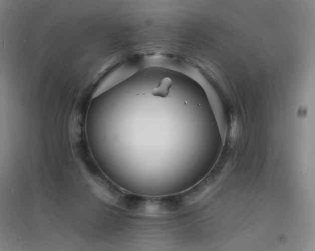 X0000094430264200711081233