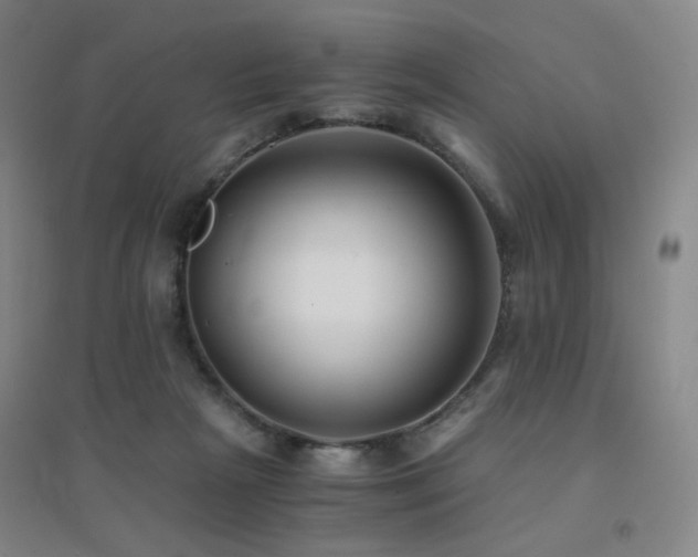X0000094430265200711081233