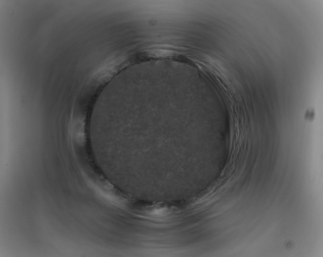 X0000094430267200711081233