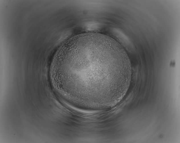 X0000094430269200711081233