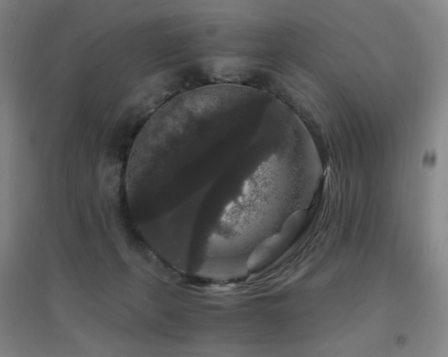 X0000094430271200711081233