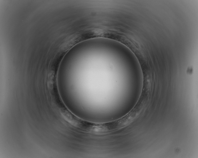 X0000094430275200711081233