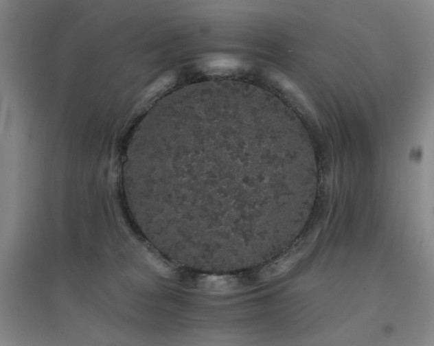 X0000094430277200711081233