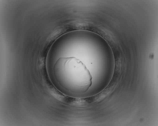X0000094430278200711081233