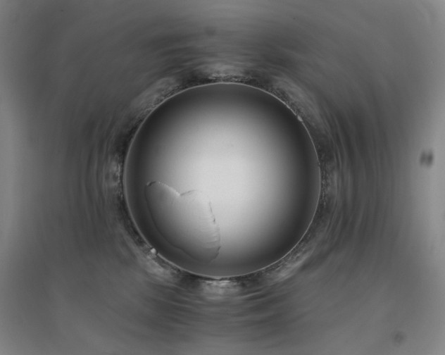 X0000094430281200711081233