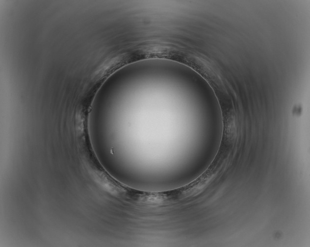 X0000094430282200711081233