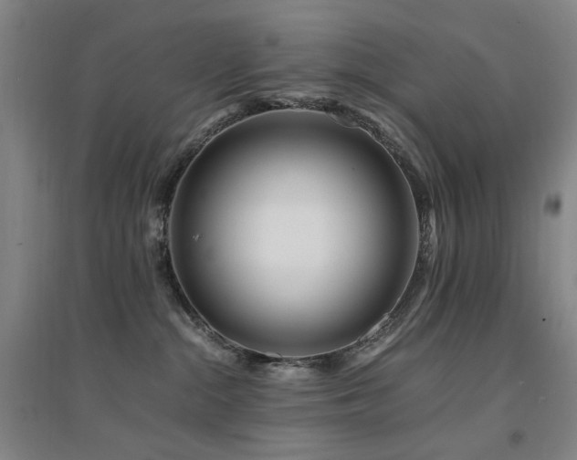X0000094430284200711081233