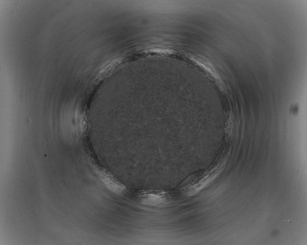 X0000094430285200711081233