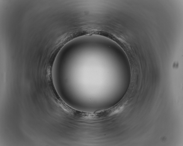 X0000094430288200711081233