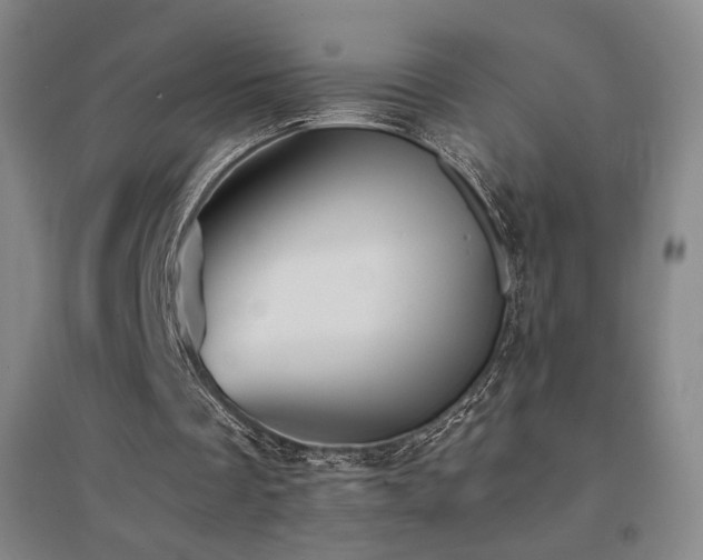 X0000094430289200711081232