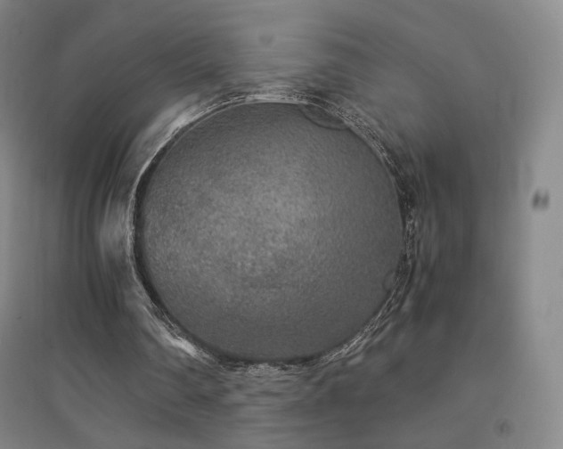 X0000094430290200711081232