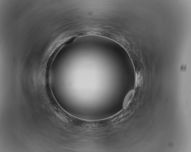 X0000094430291200711081232