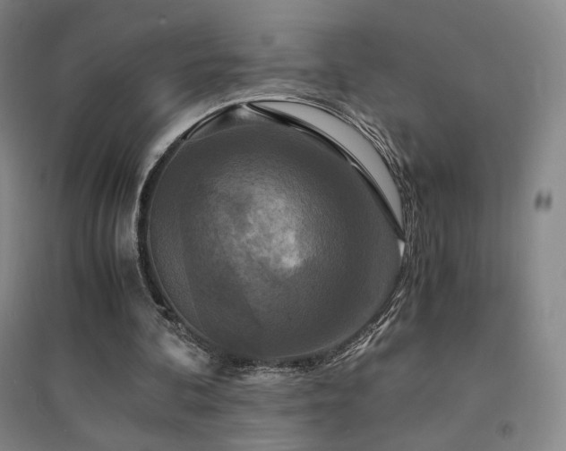 X0000094430292200711081232