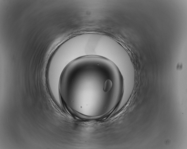 X0000094430293200711081232