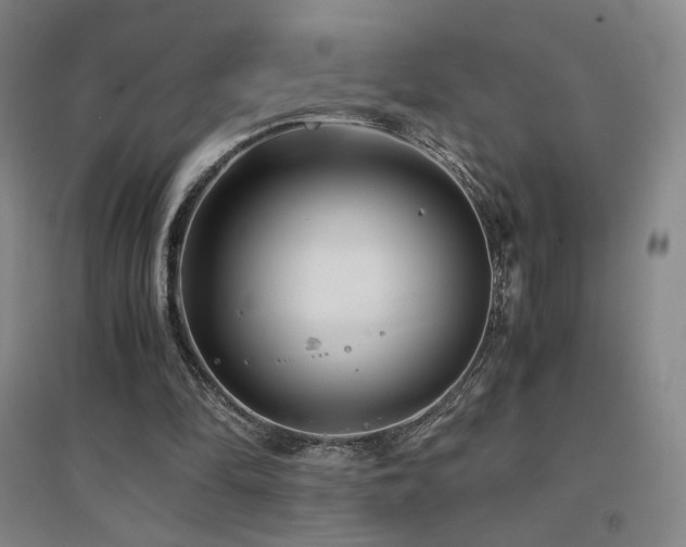X0000094430294200711081232