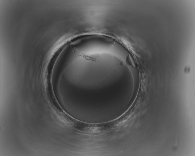 X0000094430295200711081232