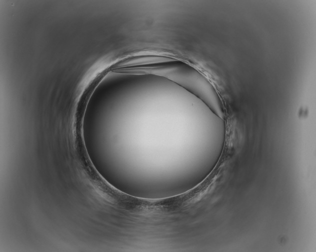 X0000094430296200711081232