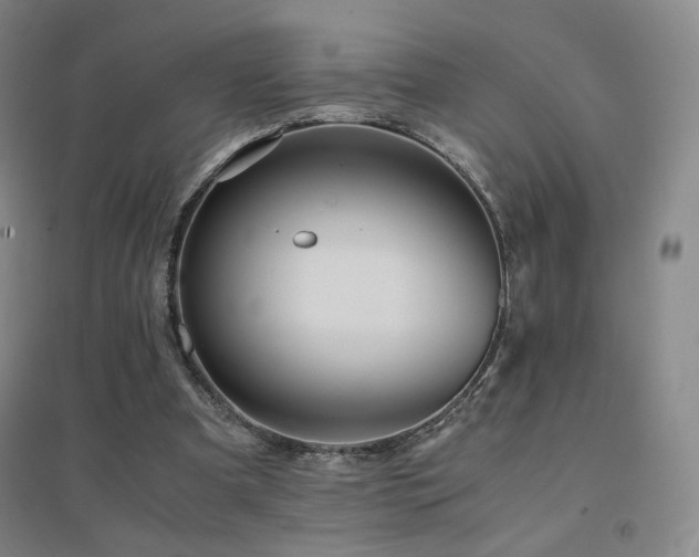X0000094430297200711081232