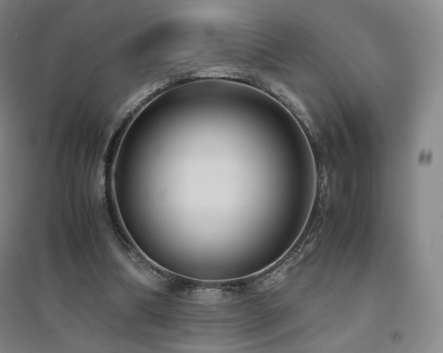 X0000094430298200711081232