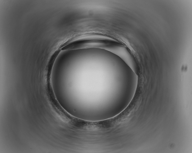 X0000094430299200711081232