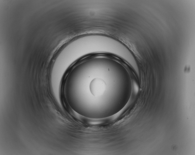 X0000094430300200711081232