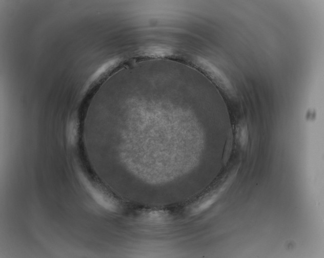 X0000094430304200711081232
