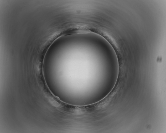 X0000094430305200711081232