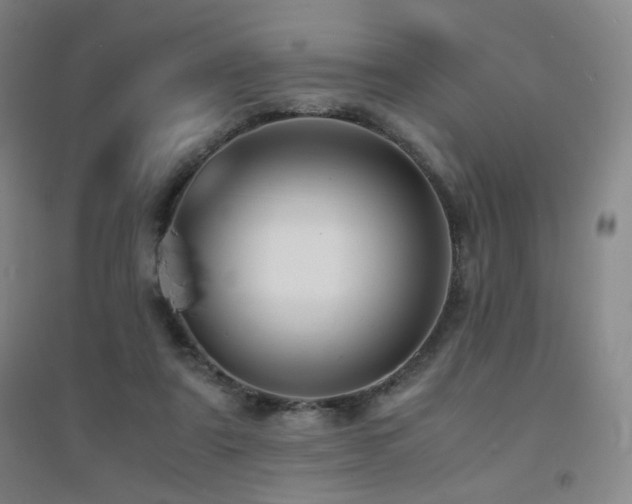 X0000094430307200711081232