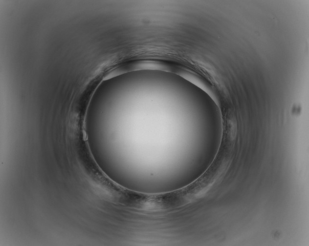 X0000094430308200711081232