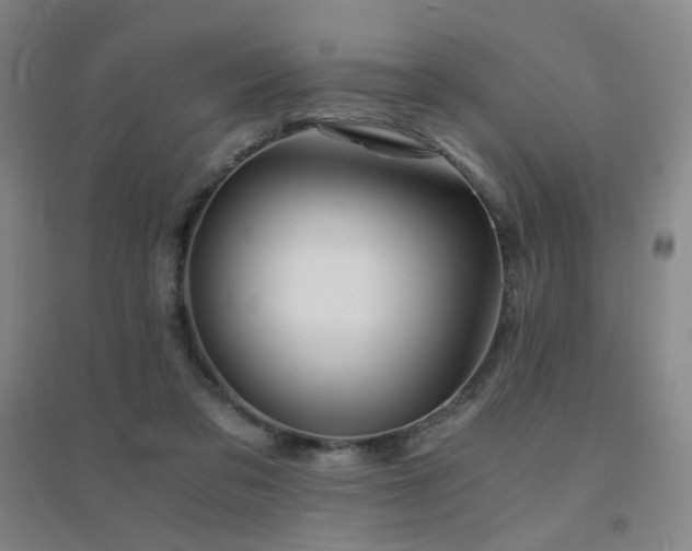 X0000094430309200711081232