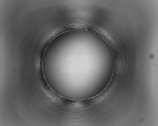 X0000094430310200711081232