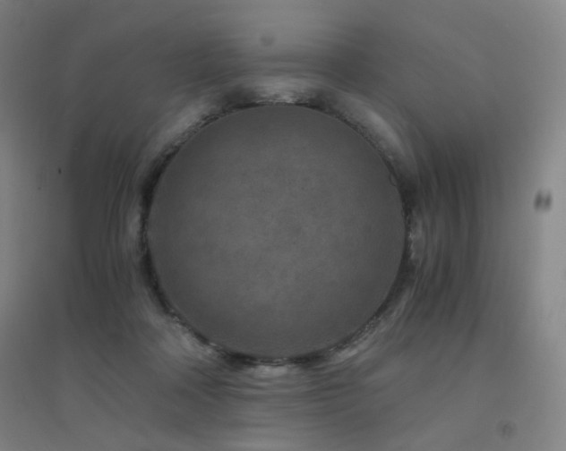 X0000094430314200711081232