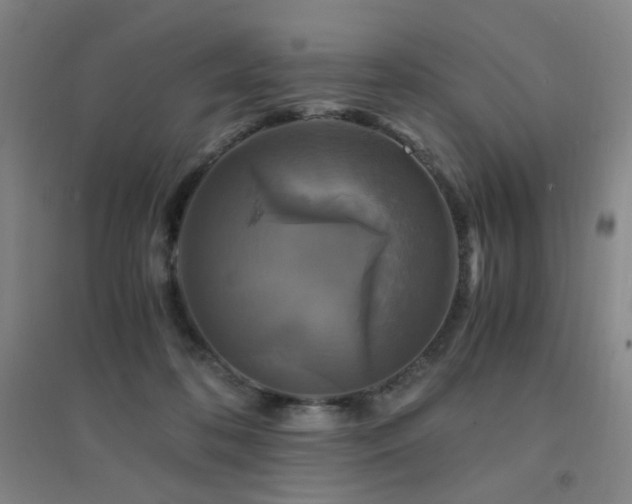 X0000094430316200711081232