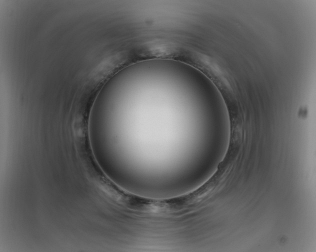 X0000094430317200711081232
