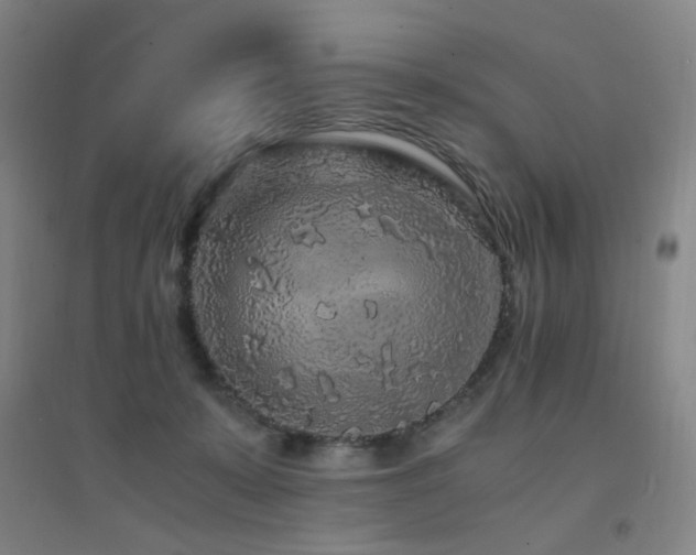 X0000094430319200711081232