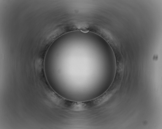 X0000094430321200711081232