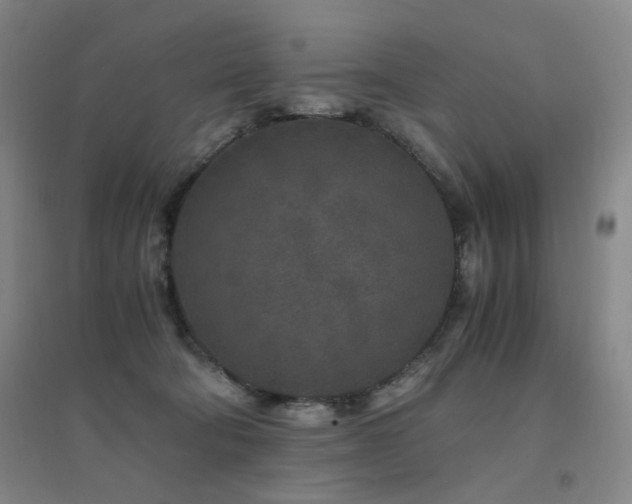 X0000094430322200711081232