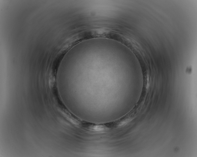 X0000094430324200711081232