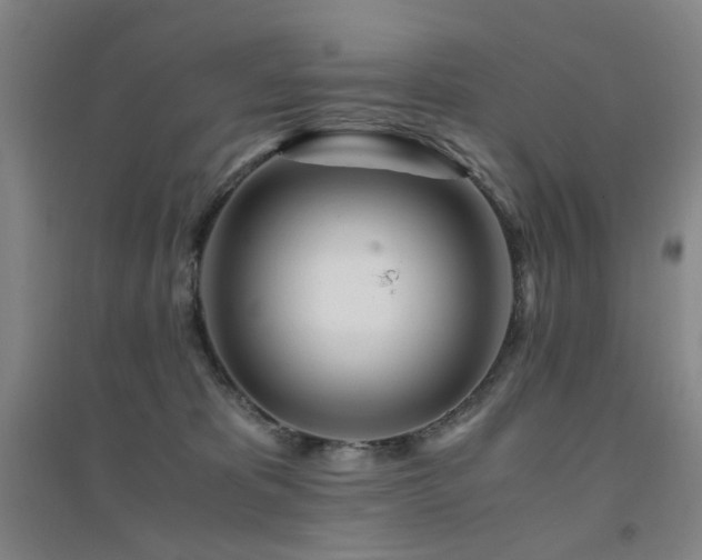 X0000094430325200711081232