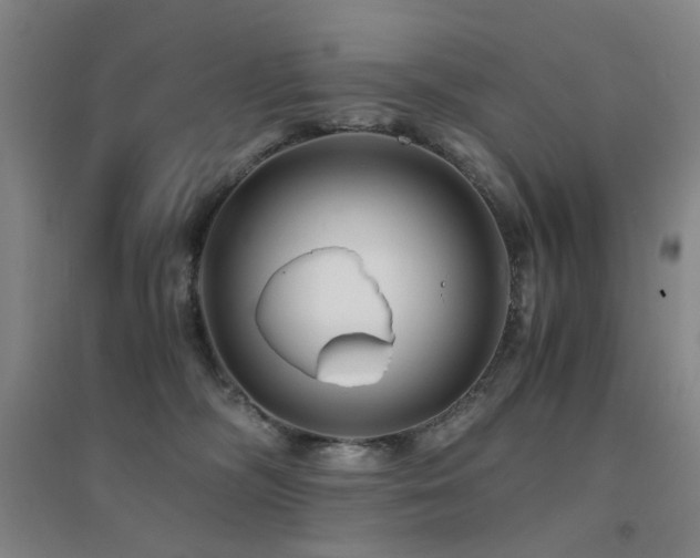 X0000094430326200711081232