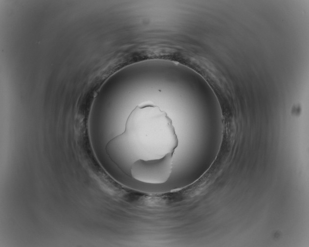 X0000094430327200711081231