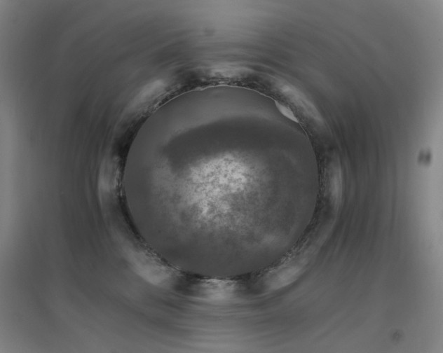 X0000094430328200711081231