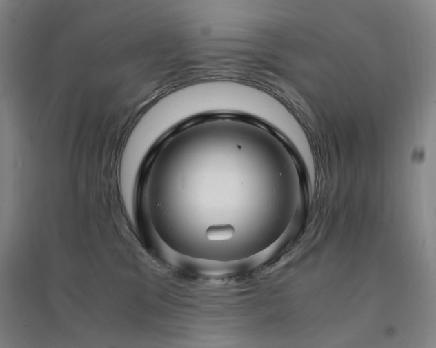 X0000094430329200711081231