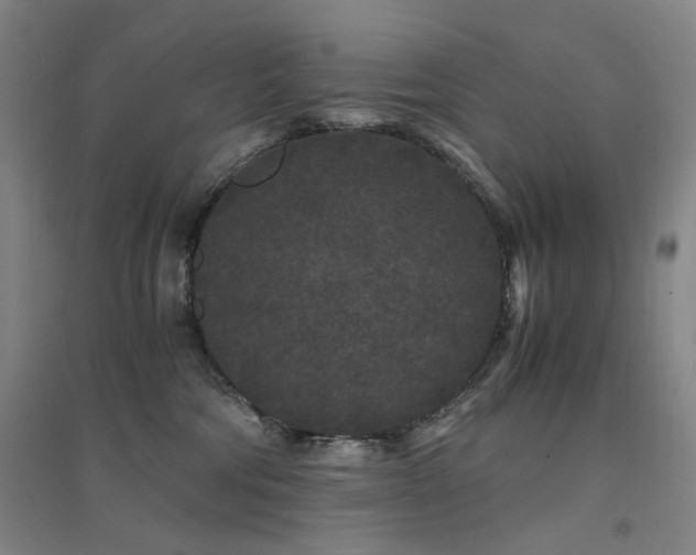 X0000094430330200711081231