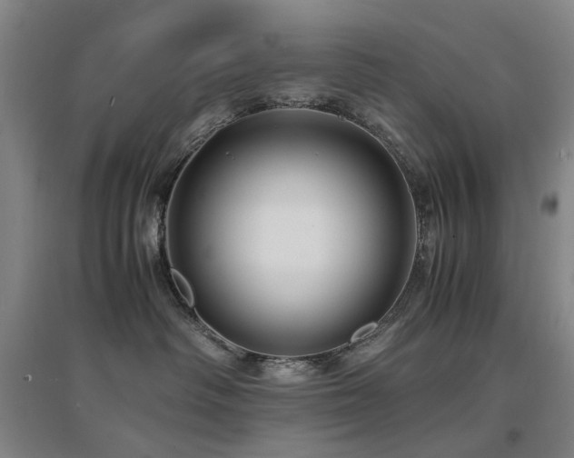 X0000094430334200711081231