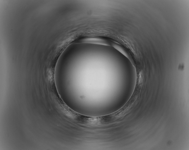 X0000094430335200711081231